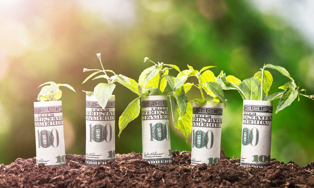 Grow Green & Make Money: The ESG Investing Revolution