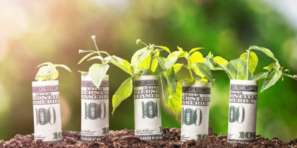 Grow Green & Make Money: The ESG Investing Revolution