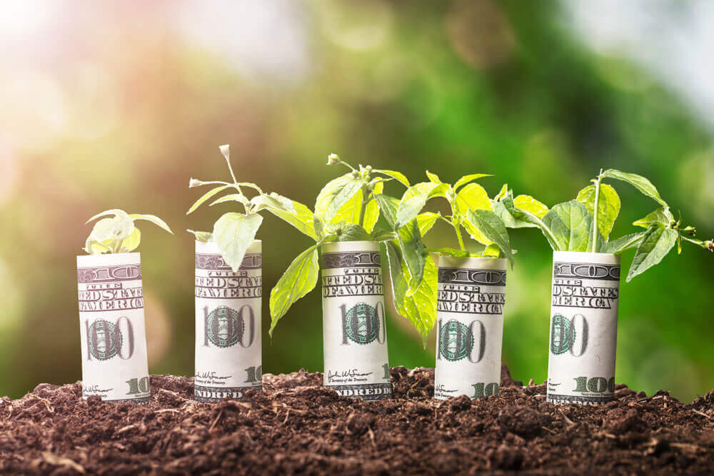 Grow Green & Make Money: The ESG Investing Revolution